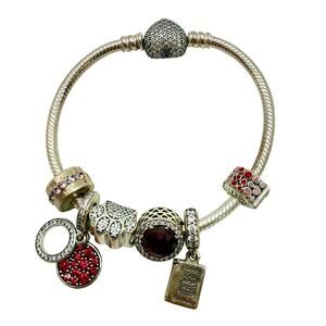 Pandora 6" Bracelet & 6 Dog Lover Charms Sterling Silver Pink Birthday Swarovski